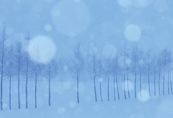 WEB�����ޥ� ���ꥸ�ʥ���ʳ������å� 08 ���ܽ�� �֥��।�����ϡ�