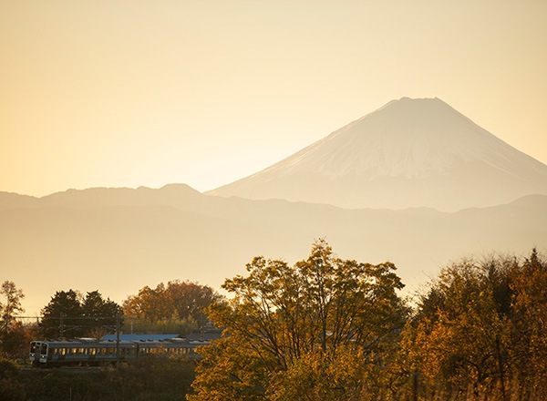 WEB�����ޥ� ���ꥸ�ʥ���ʳ������å� 09 �쥤��ޥ�ե��ȥ��ե��� �ַ������