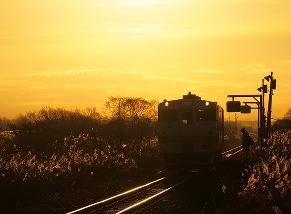 WEB�����ޥ� ���ꥸ�ʥ���ʳ������å� 09 �쥤��ޥ�ե��ȥ��ե��� �ַ������