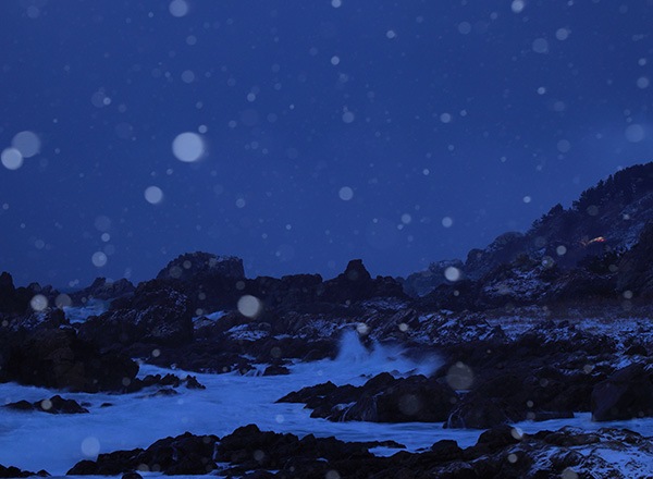 WEB�����ޥ� ���ꥸ�ʥ���ʳ������å� 09 �쥤��ޥ�ե��ȥ��ե��� �ַ������