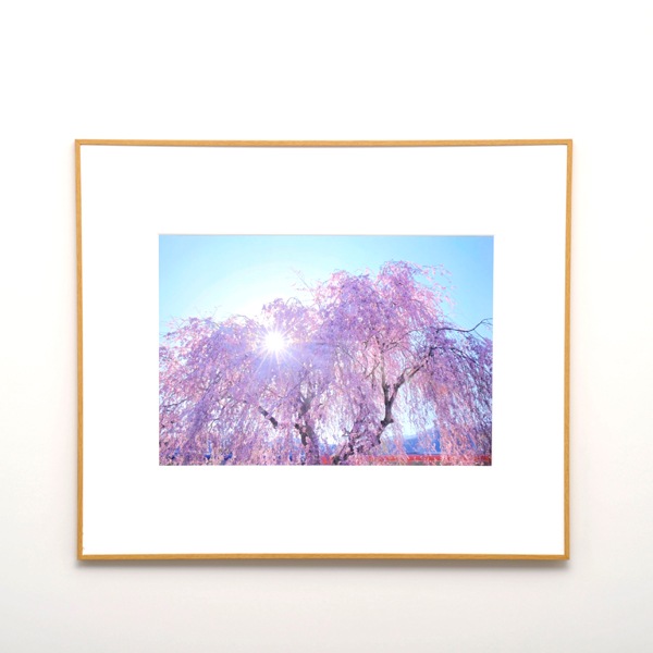 WEB�����ޥ� ���ꥸ�ʥ���ʳ������å� 09 �쥤��ޥ�ե��ȥ��ե��� �ַ������