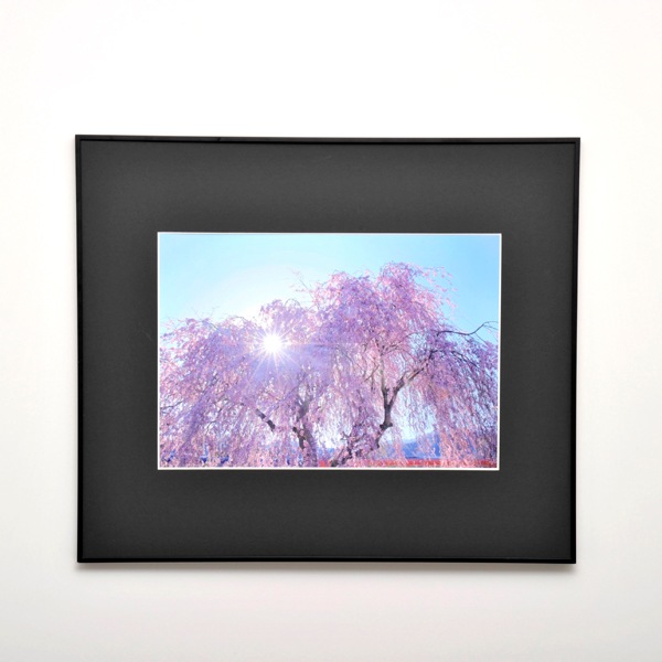 WEB�����ޥ� ���ꥸ�ʥ���ʳ������å� 09 �쥤��ޥ�ե��ȥ��ե��� �ַ������