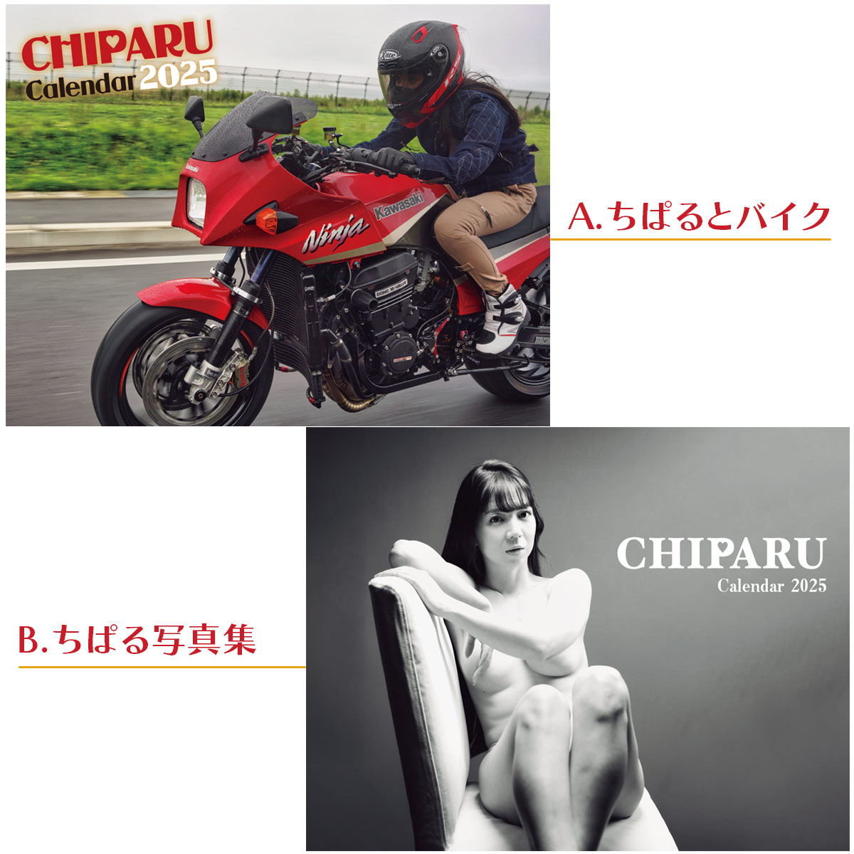 �ڴ��䤤�����ޤ����ۡ�12/24����������䳫�ϡۤ��Ϥ���1���<br>GOGGLE feat. ���Ѥ�<br>���Ѥ�2025��奫������