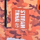 ȥ꡼ȥ쥤 ɥ饤 25åȥ  Stream Trail Dry Tank 25L Camo