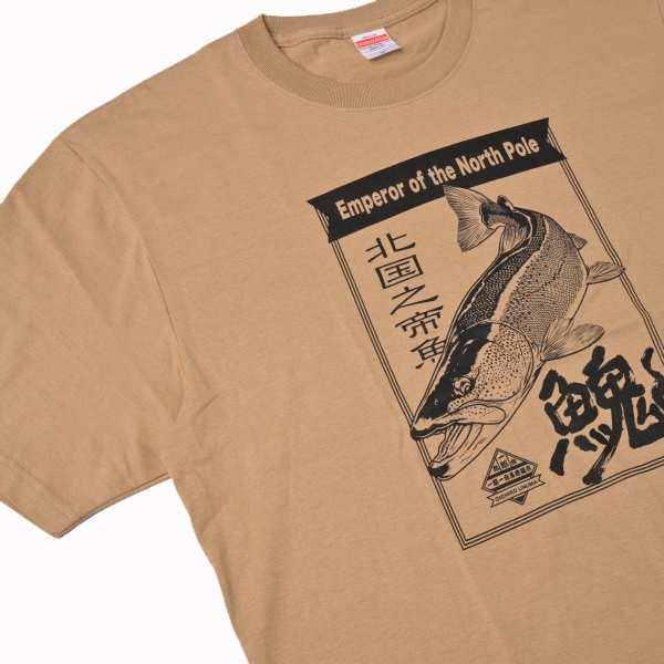 �ե��å���T����ġ����ȥ�