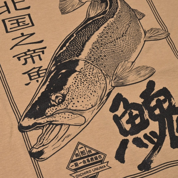 �ե��å���T����ġ����ȥ�