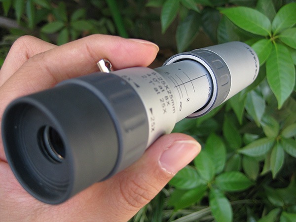 ���ե��� M057 ���ξ��25�ܥ�����ñ��� / SAFARI M057