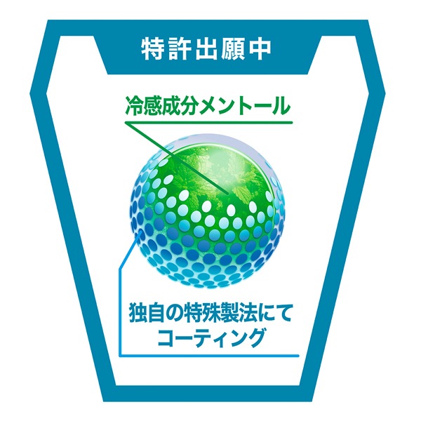 FREEZE TECH �ե꡼���ƥå� �������䴶�ߥ���300ml