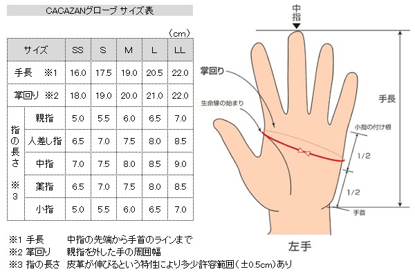 �������� �ɥ饤�ӥ󥰥������� CACAZAN DDR-070 ������� Ⱦ�� ���� �� �ܳ� �ץ쥼��� ������ ���ե�