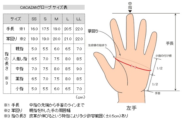  ǥ 饤ǥ󥰥 CACAZAN TAKA-012  ֥å    ܳ ץ쥼  ե
