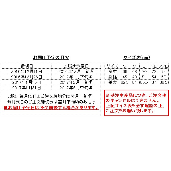 ���ܾ�ʿRIDE ������ơ����������å� 2016-2017��ǥ�