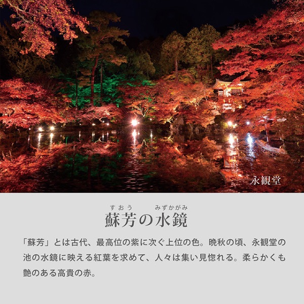 SMART MOVE  basic ���ޡ��ȥࡼ�� �١����å� �����󥯵���