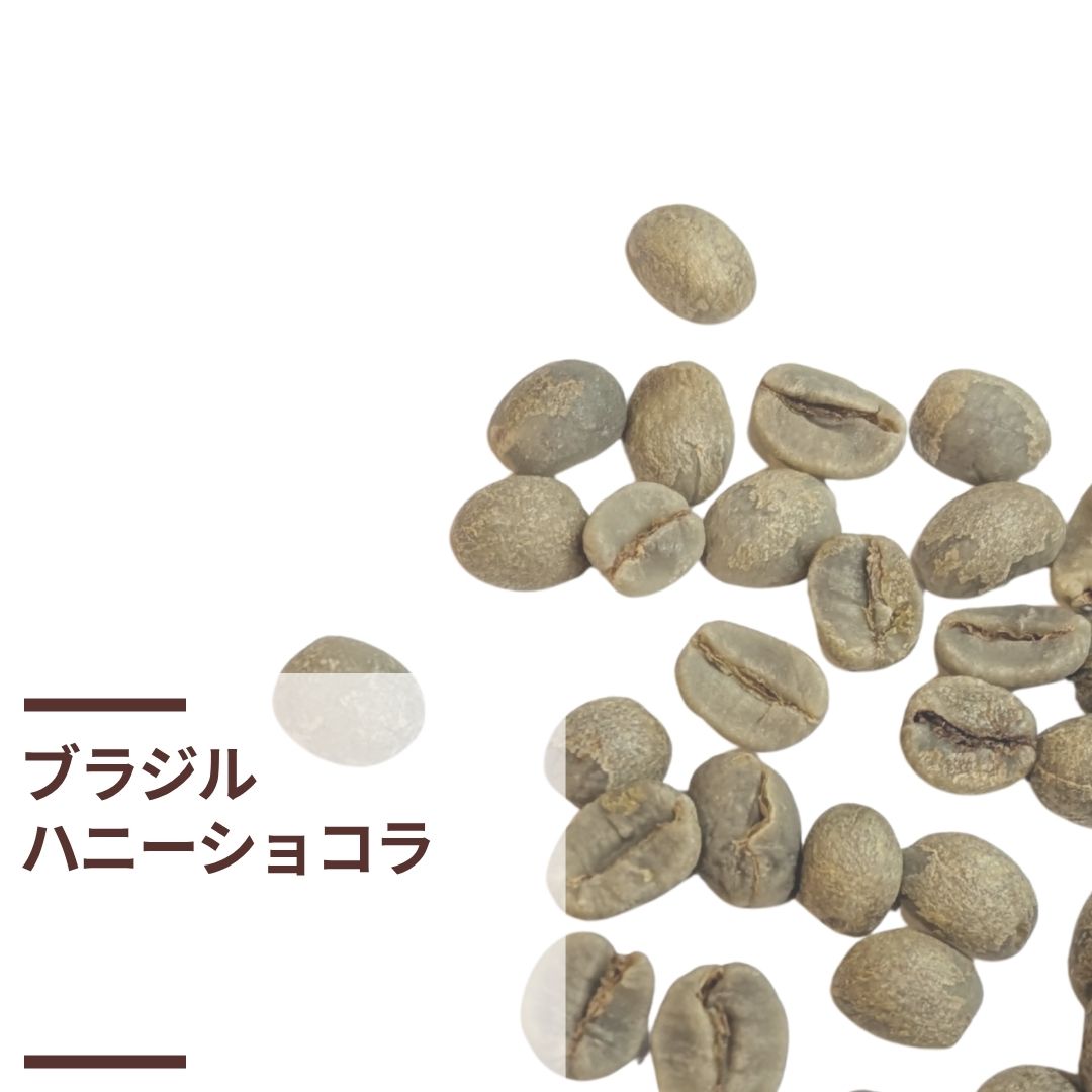 ブラジル・ハニーショコラ（生豆計り100g）