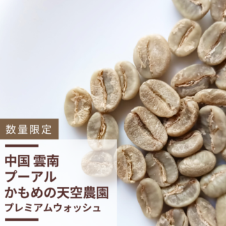 中国 雲南プーアル かもめの天空農園 プレミアムウォッシュ