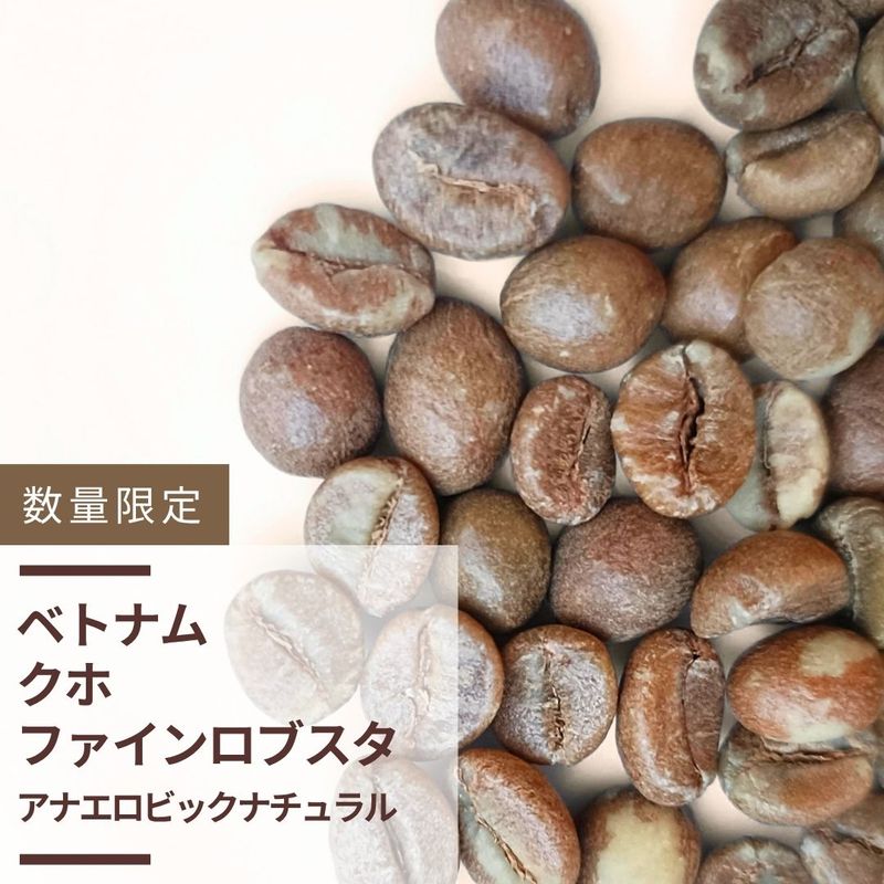 ベトナム ランビアンコーヒー クホ ファインロブスタ アナエロビック