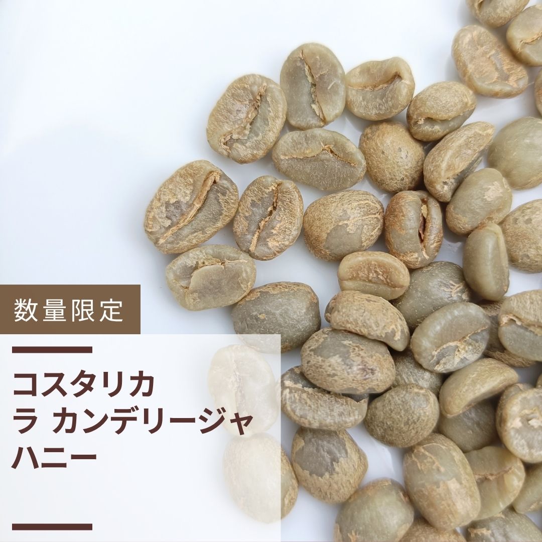 コスタリカ ラ カンデリージャ ハニー(生豆計り100g)