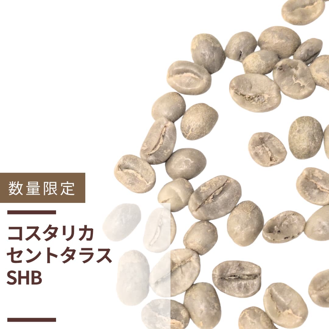 コスタリカ セントタラス SHB ガンボア農園(生豆計り100g) | 数量限定