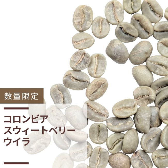 コロンビア スウィートベリーSUP(生豆計り100g) | 数量限定商品