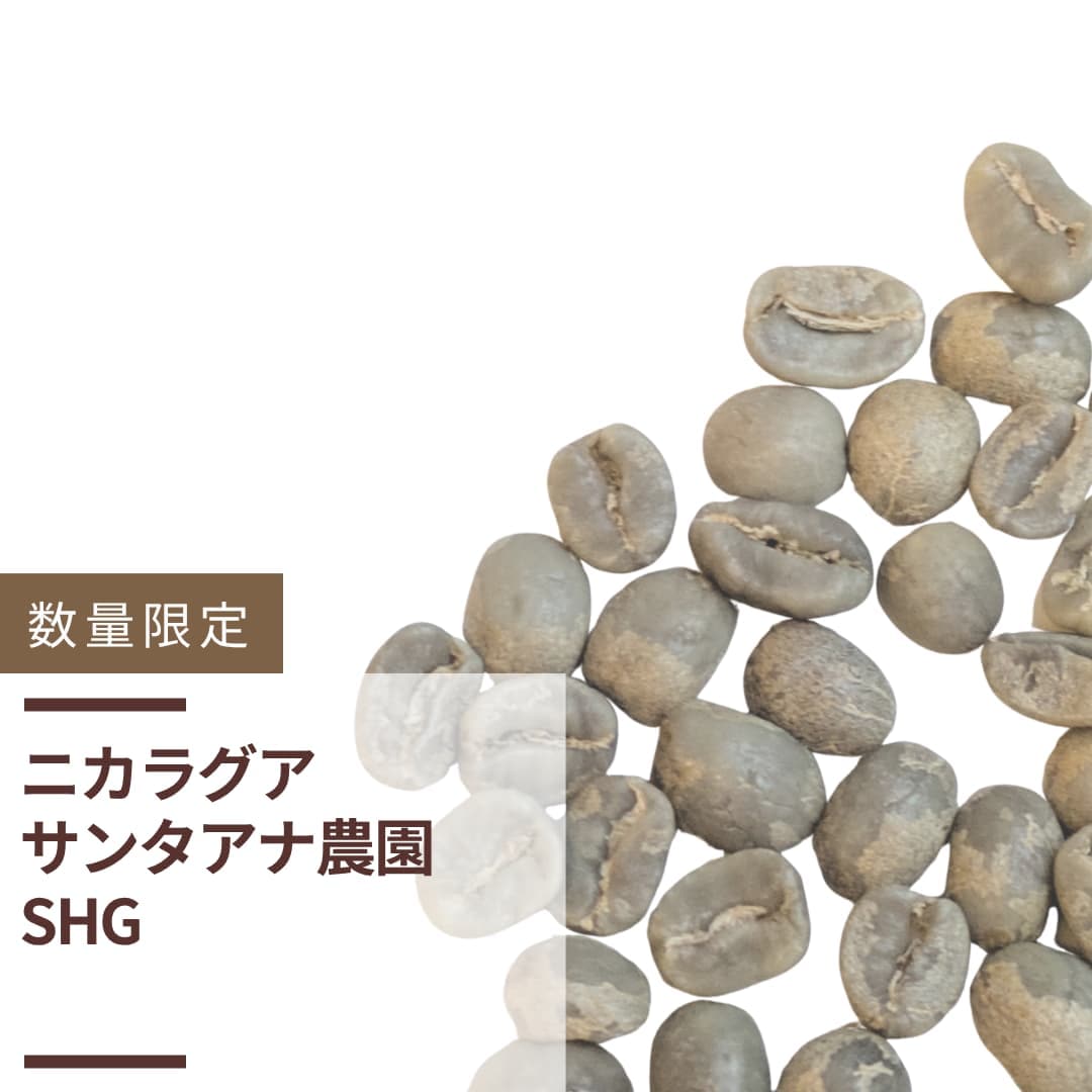 ニカラグア サンタアナ農園 SHG(生豆計り100g)