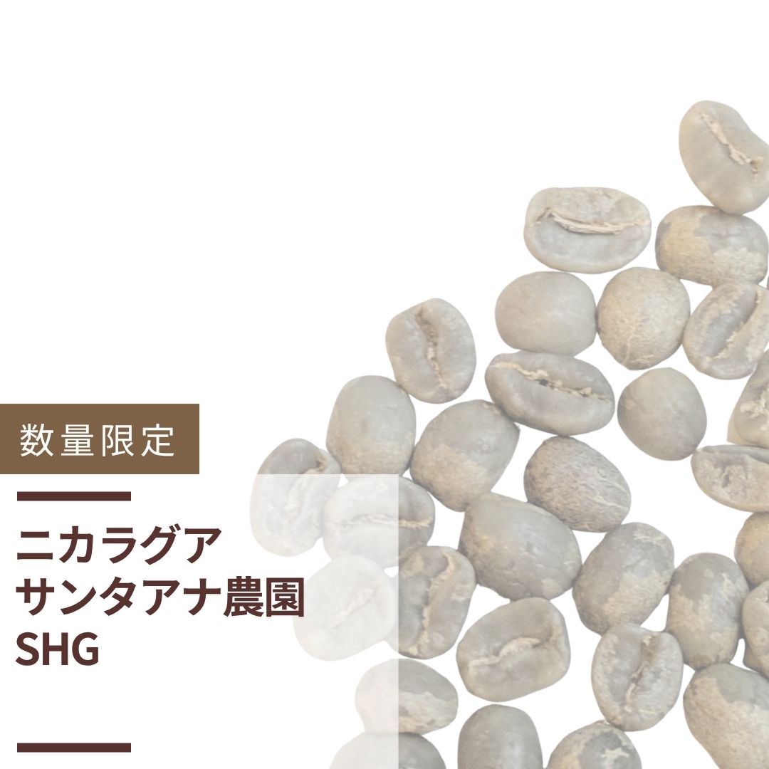 ニカラグア サンタアナ農園 SHG(生豆計り100g) | 数量限定商品