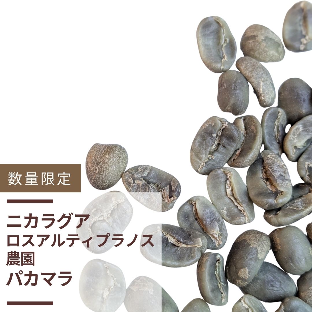 ニカラグア ロスアルティプラノス農園　パカマラ(生豆計り100g)