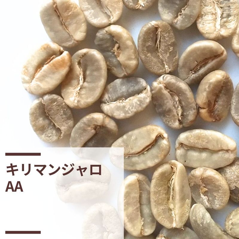 タンザニア・キリマンジャロAA (生豆計り100g) | アフリカ