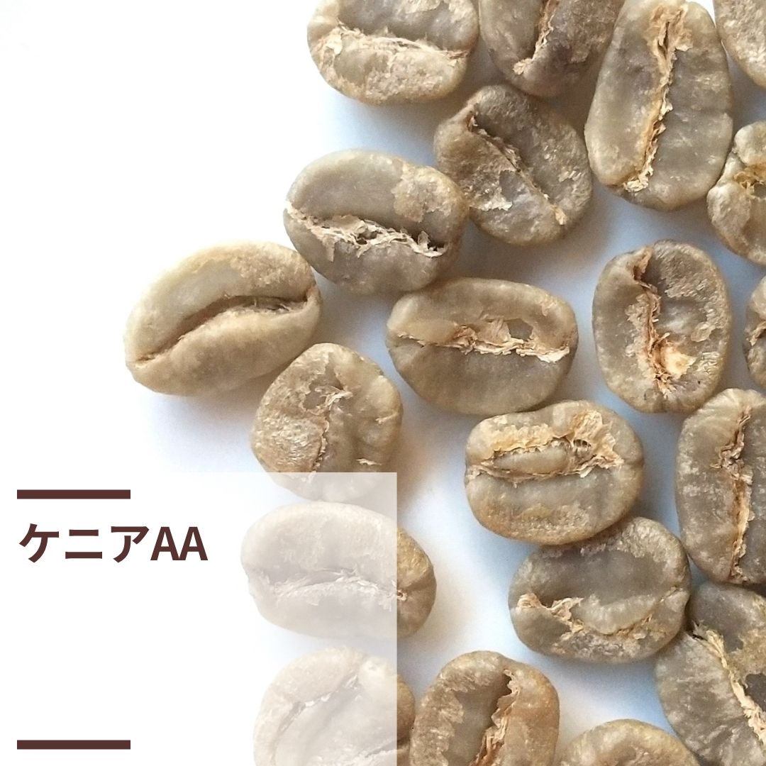ケニアAA (生豆計り100g)