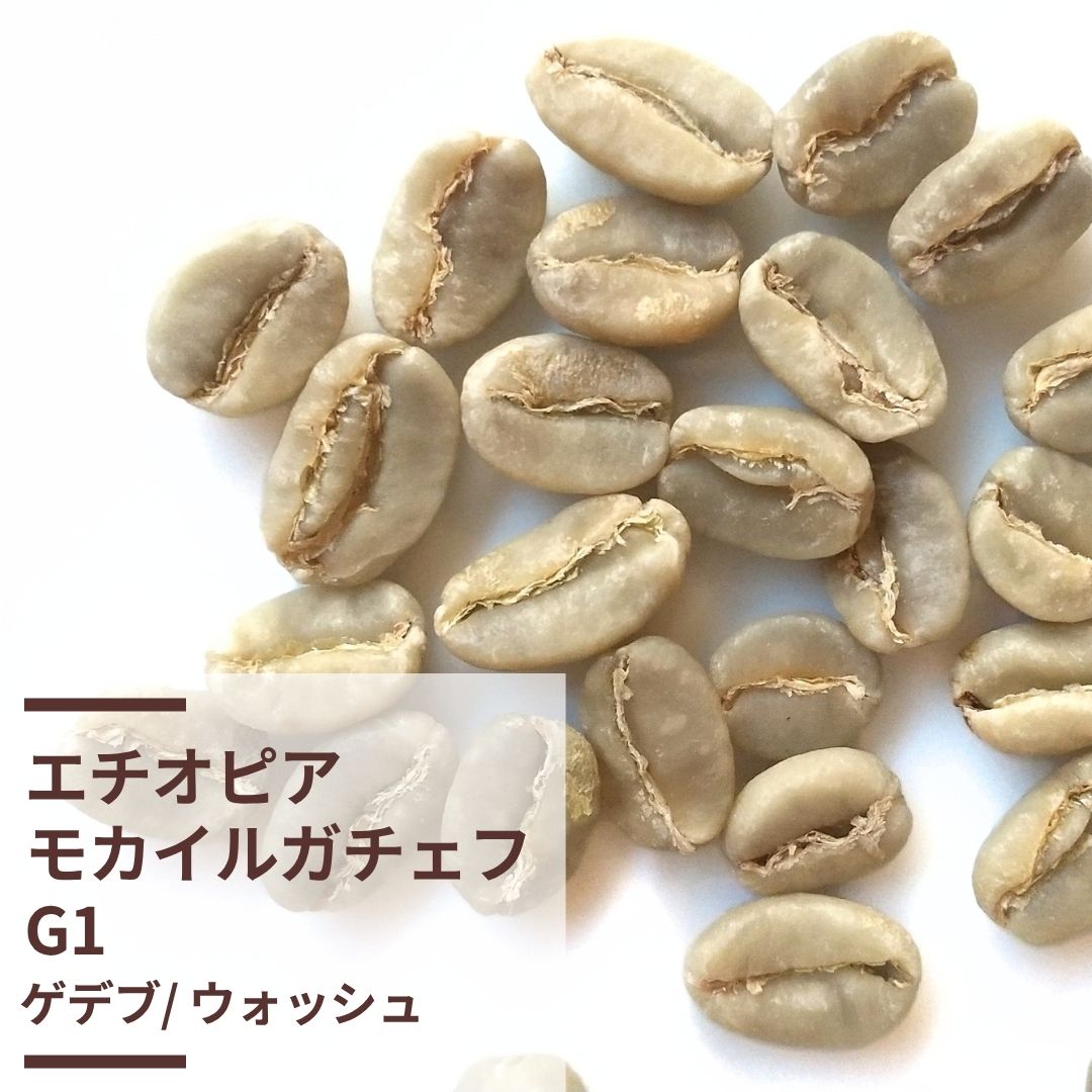 エチオピア・モカ・イルガチェフG-1 (生豆計り100g)