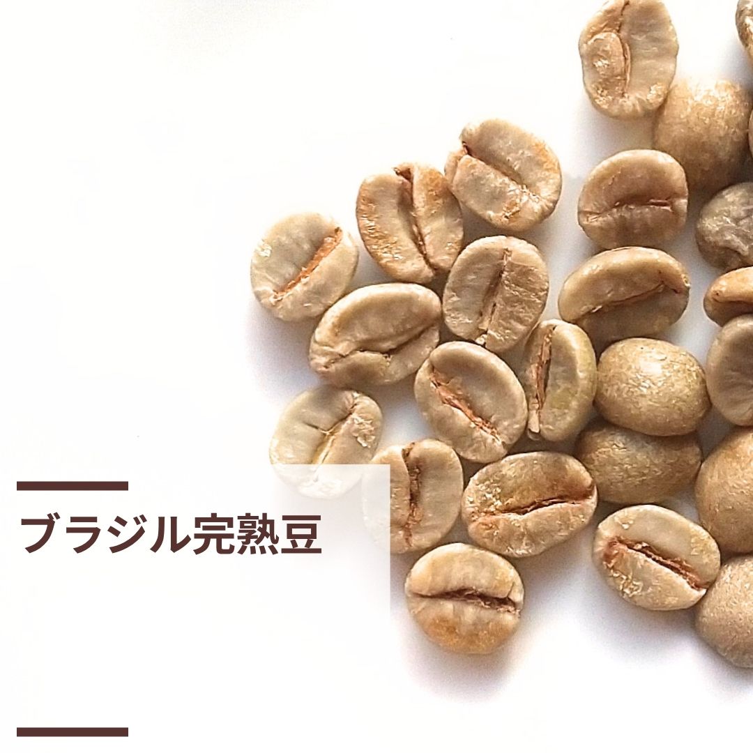 ブラジル完熟豆 (生豆計り100g)