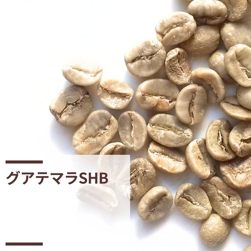 グアテマラ 生豆 小分け5kgセット ※値下げ不可 グアテマラ生豆