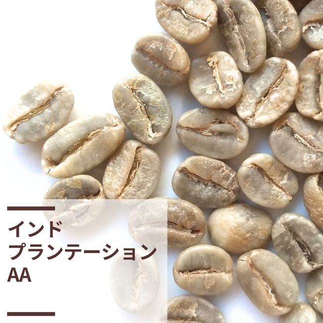 インド･プランテーションAA (生豆計り100g)