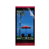 【docomo REGZA Phone T-02D 用】 ノングレアフィルム2 マットフィルム