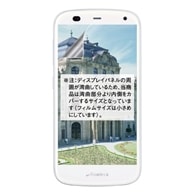 【SoftBank ARROWS A 301F 用】ノングレア画面保護フィルム3