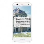 SoftBank ARROWS A 301F ѡۥΥ󥰥쥢ݸե3