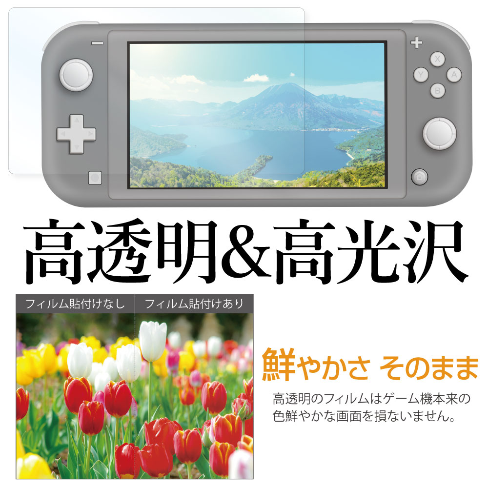 Nintendo Switch Lite ѡ  AFPե3 ե