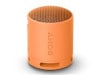 SONY SRS-XB100 (DC) [�����]