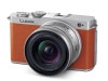 �ѥʥ��˥å� LUMIX DC-S9N-D ���ѥ������󥺥��å� [�����륪���]