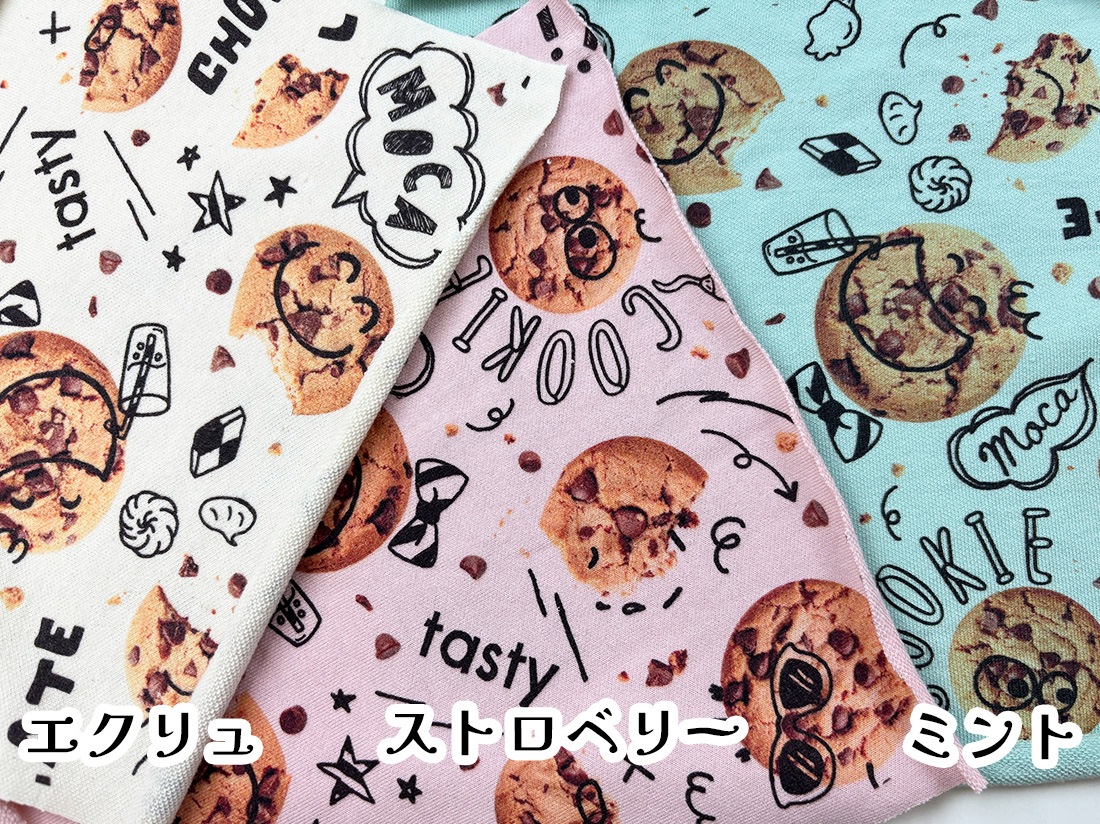 40/20ミニ裏毛ニット チョコチップパレード柄 エクリュ | mocamocha