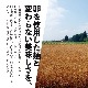 ̳ƻĶϾ顼 (2)coupon