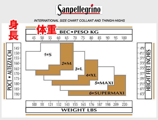 イタリア インポート 柄ストッキング SANPELLEGRINO MAGDALENA ドット柄ストッキング　2色