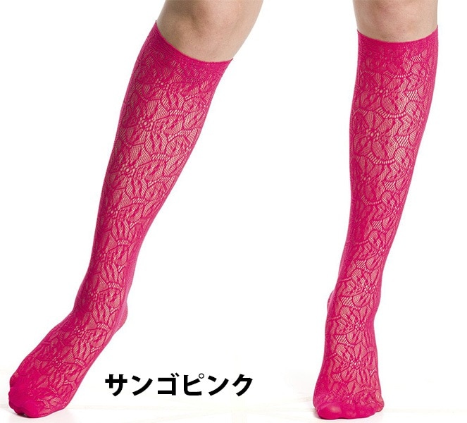 NEW・新作 イタリア インポート ブランド 柄ニーハイソックス TRASPARENZE COMPASS ROSE 網ニーハイソックス 5色
