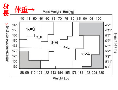 インポート ガーターストッキング SISI QUEEN 8デニール ガーターストッキング