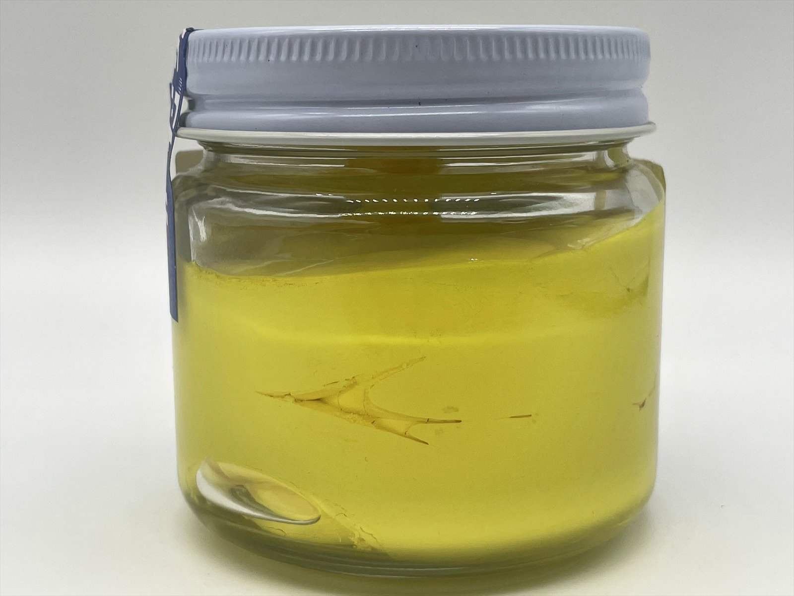 ���ۥ��ꥳ����K-COLOR�ʲ���