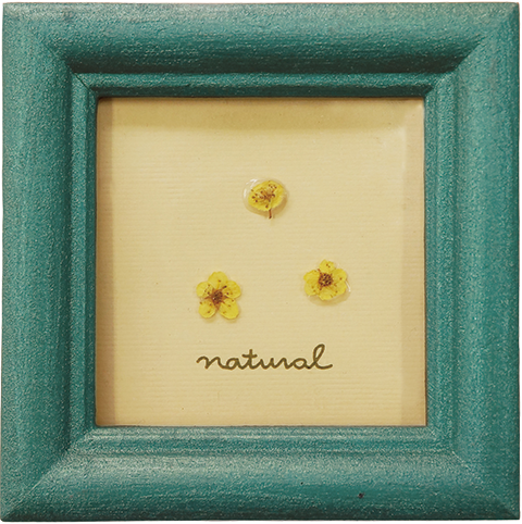 �����ʡ���������������ڥ���ȡ����꡼��ѥƥ��ʡ�200����