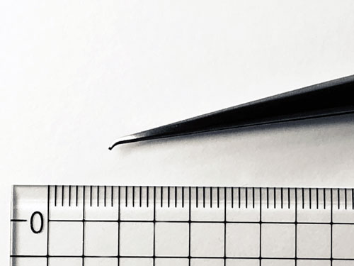 �ʥΥ���å�