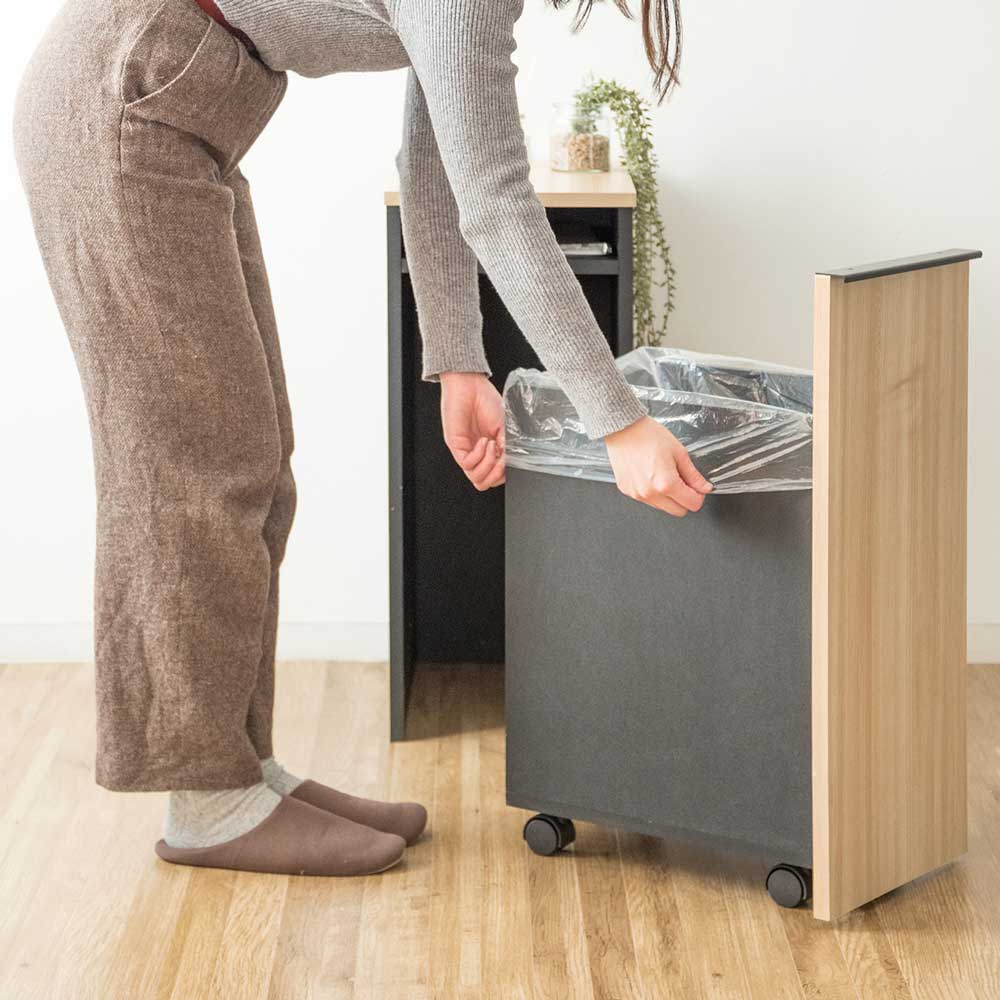スタイリッシュな魅せる美しいダストボックス｜幅30cm | インテリア