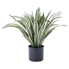 ドラセナ・ワーネッキー｜フェイクグリーン｜高さ50cm