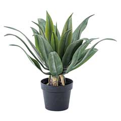 アガベ｜フェイクグリーン