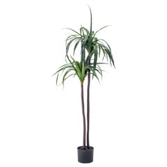 ドラセナ｜フェイクグリーン