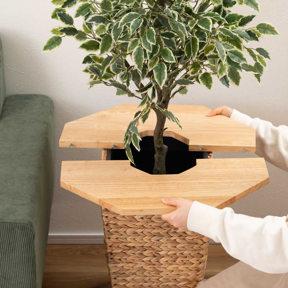 オクタゴン型天然木プランター天板｜観葉植物をおしゃれに魅せる